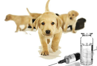 animal-vaccines-market