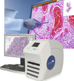 digital-pathology-market