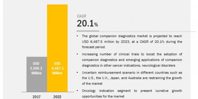 Companion Diagnostics Market