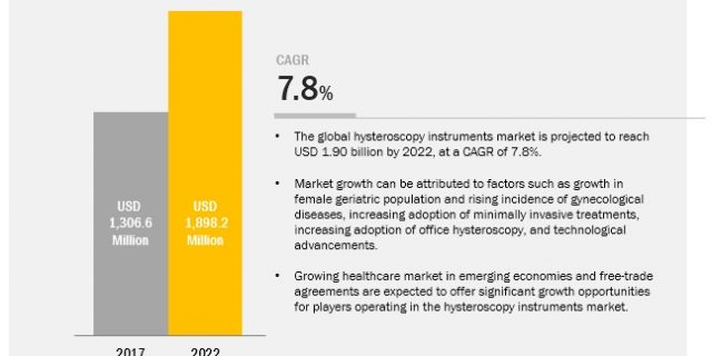 Hysteroscopy Instruments Market