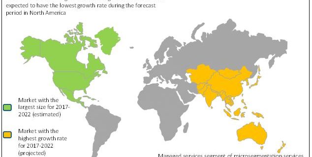 microsegmentation market