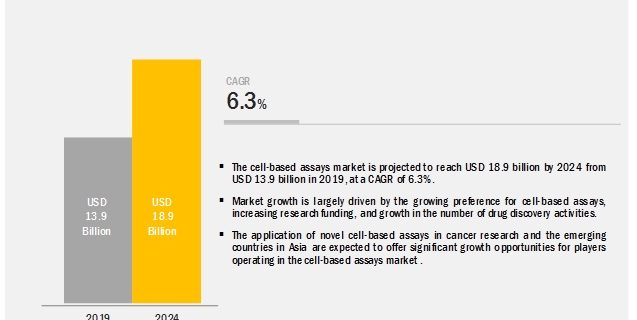 Cell based Assays Market