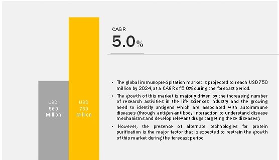 Immunoprecipitation Market