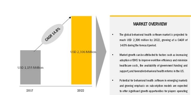 Behavioral/Mental Health Software Market