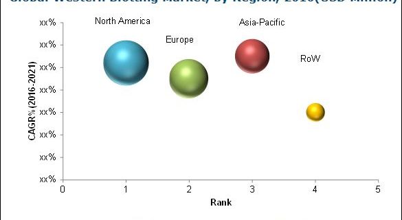 Western Blotting Market