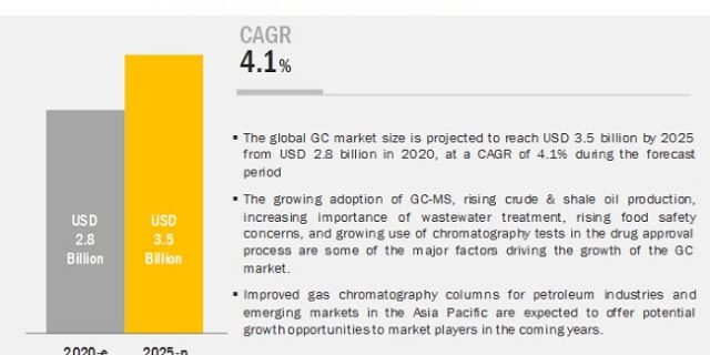 Gas Chromatography Market