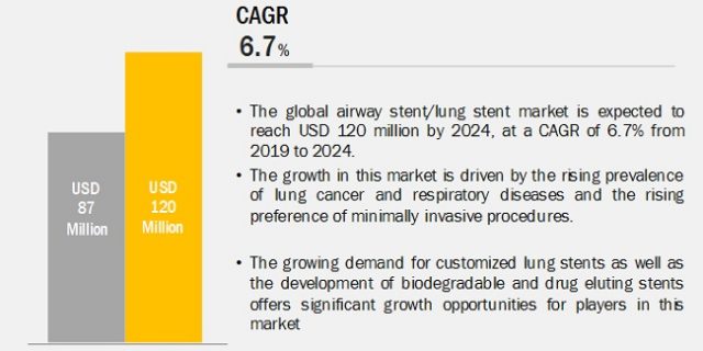 Airway Stent/Lung Stent Market