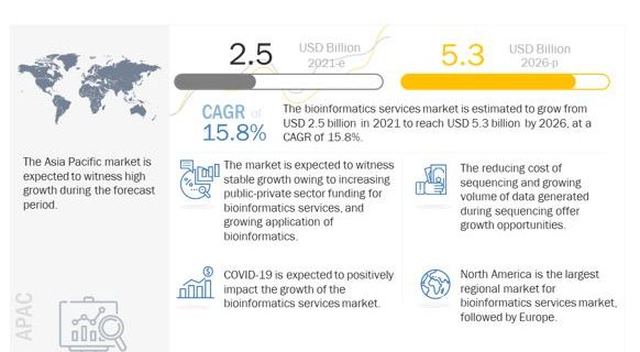 Bioinformatics Services Market