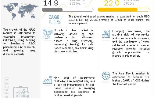 ﻿Cell-based Assays Market