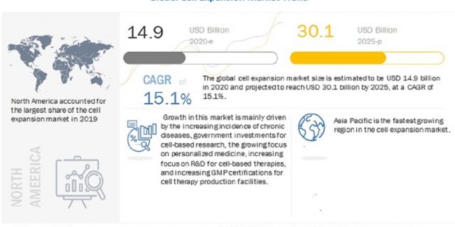 Cell Expansion Market