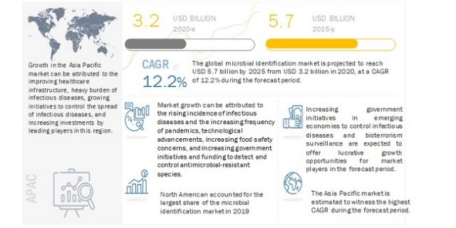 Microbial Identification Market