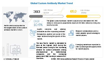 Custom Antibody Market