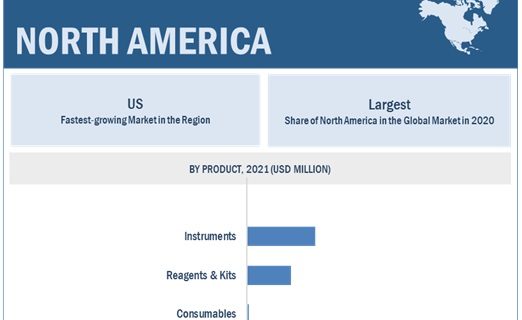 Rapid Microbiology Testing Market