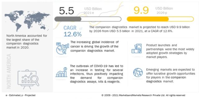 Companion Diagnostics Market