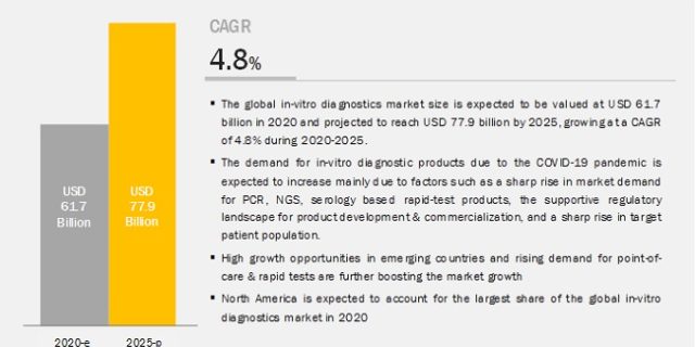 In Vitro Diagnostics Market