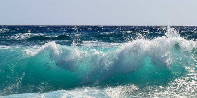 Wave Energy Market