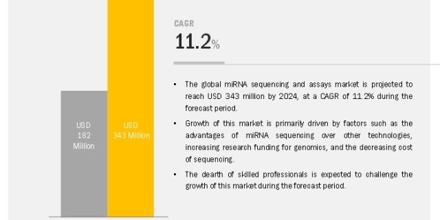 miRNA Sequencing and Assays Market