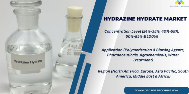 Hydrazine Hydrate Market